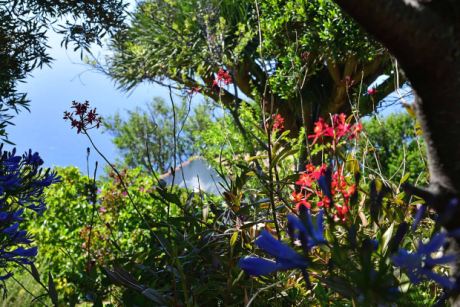 Sch�n angelegter Garten