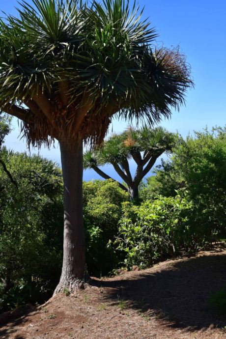 Sch�n angelegter und eingewachsener Garten