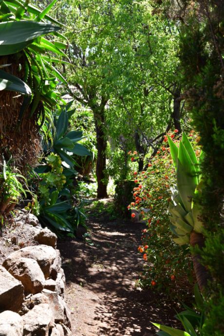 Sch�n angelegter und eingewachsener Garten