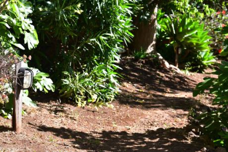 Gut angelegte Gartenwege mit Beleuchtung