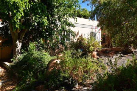 Sch�n eingewachsener Garten