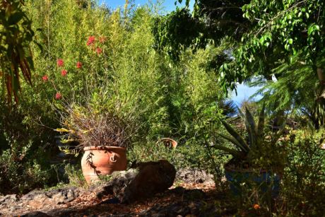 Sch�n angelegter Garten